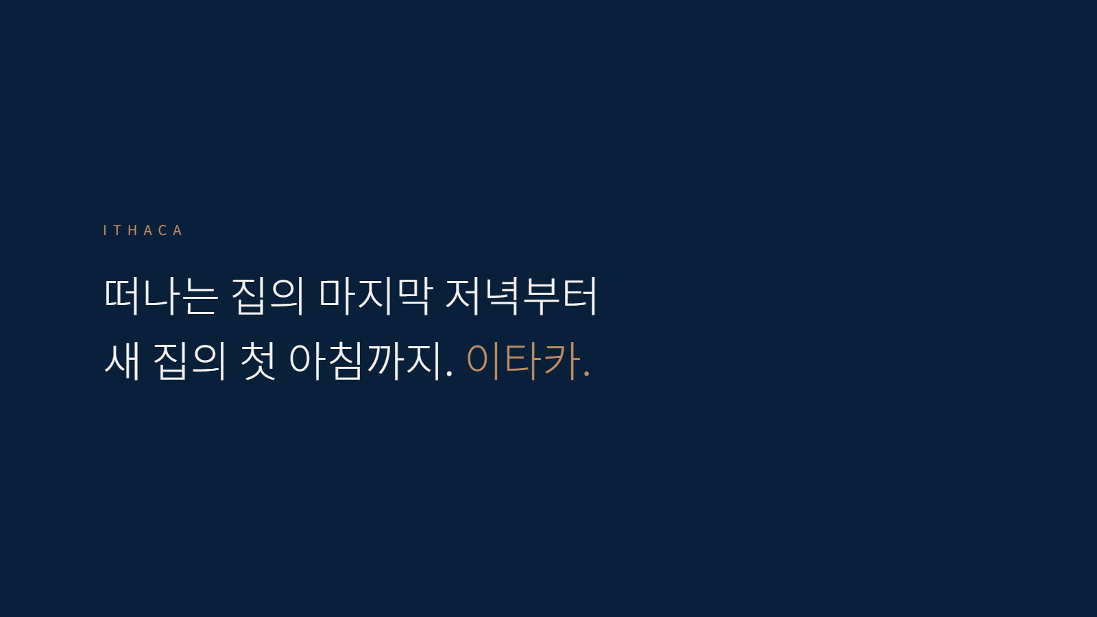 주식회사 블루넥서스