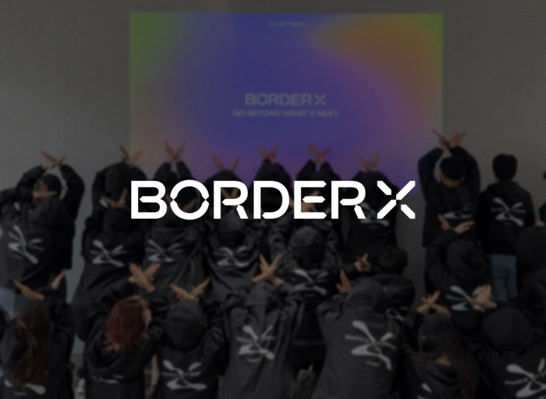 보더엑스