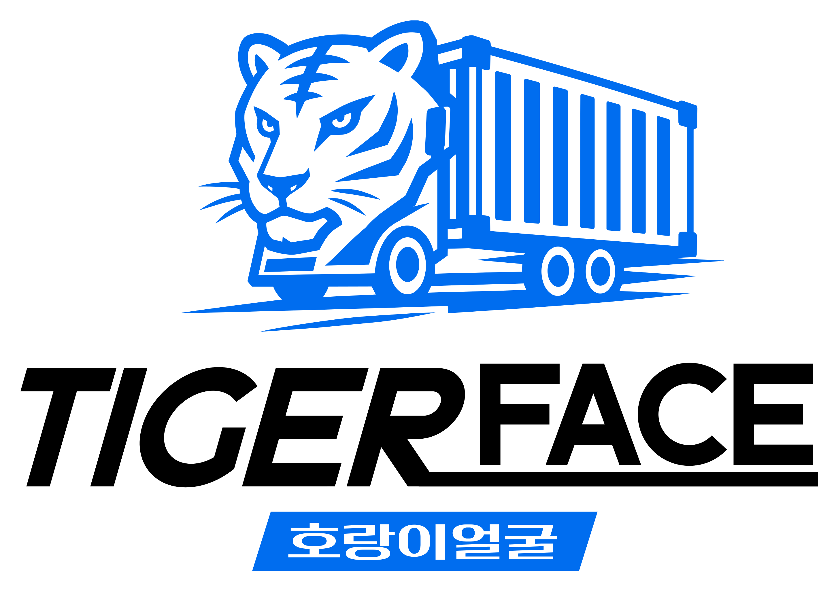 호랑이얼굴